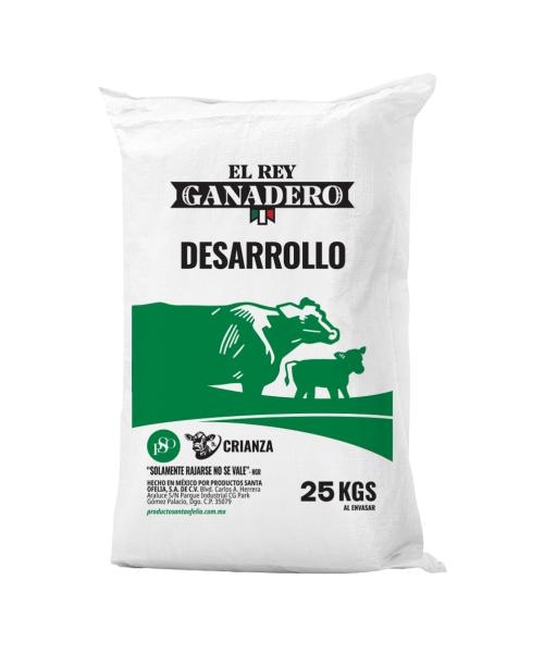 DESARROLLO REY - ERG 25K